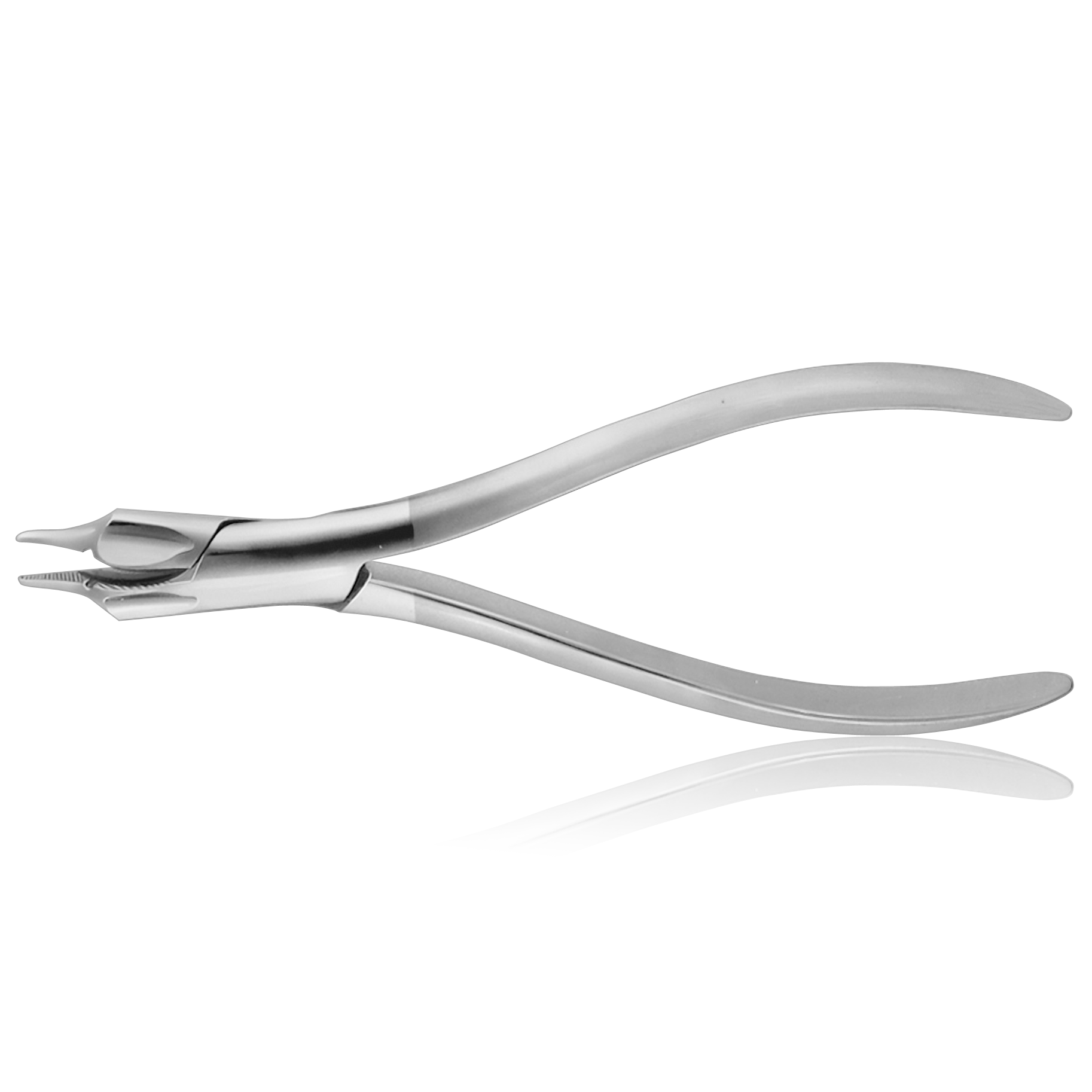 delfinzange-dp501r--rostfrei--edelstahl_30358