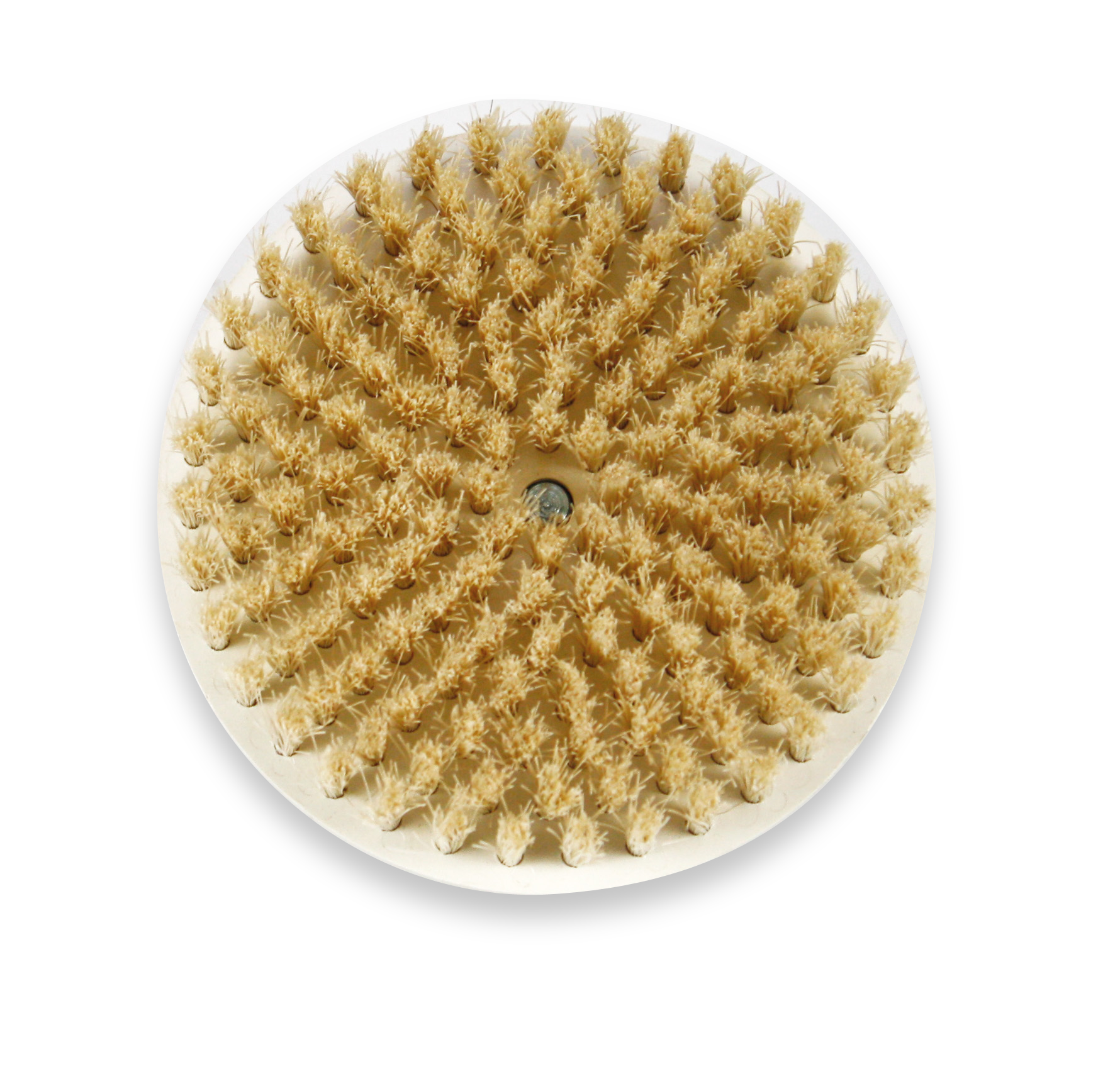 korperburste-schweinsborsten-9cm_20554
