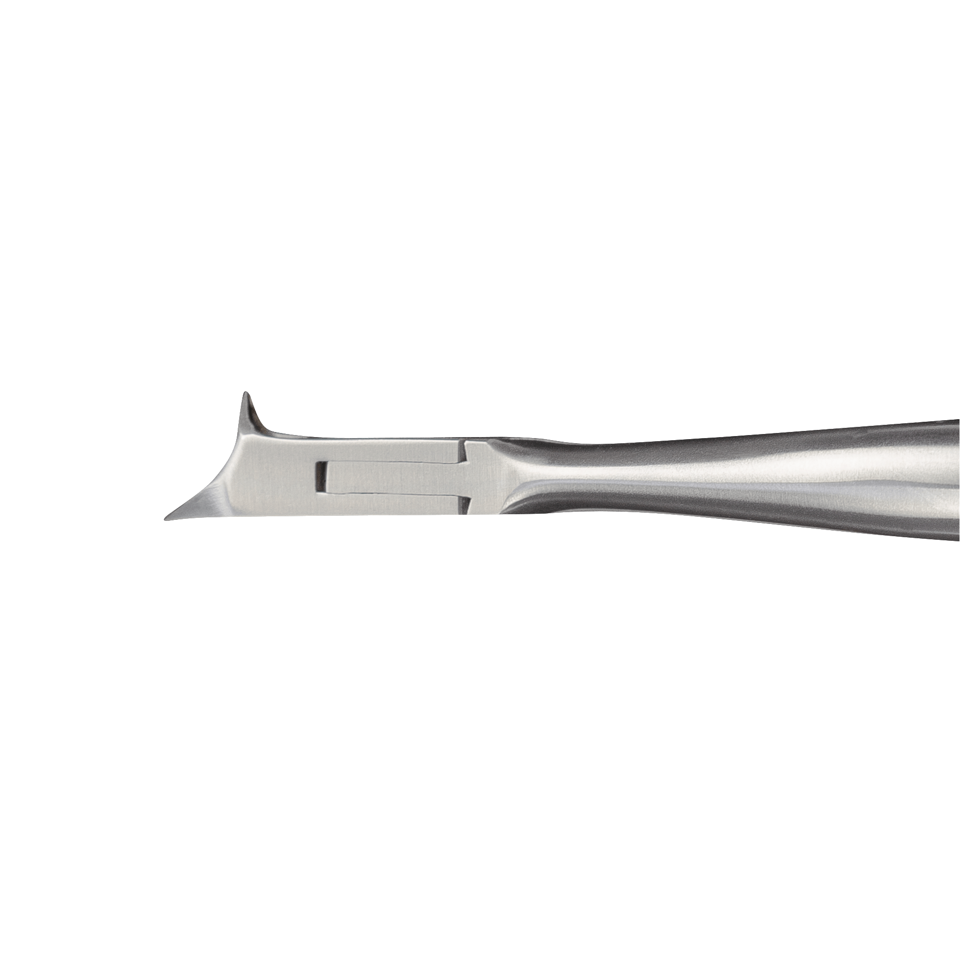 kopfschneider-rostfrei-eco_30509_2