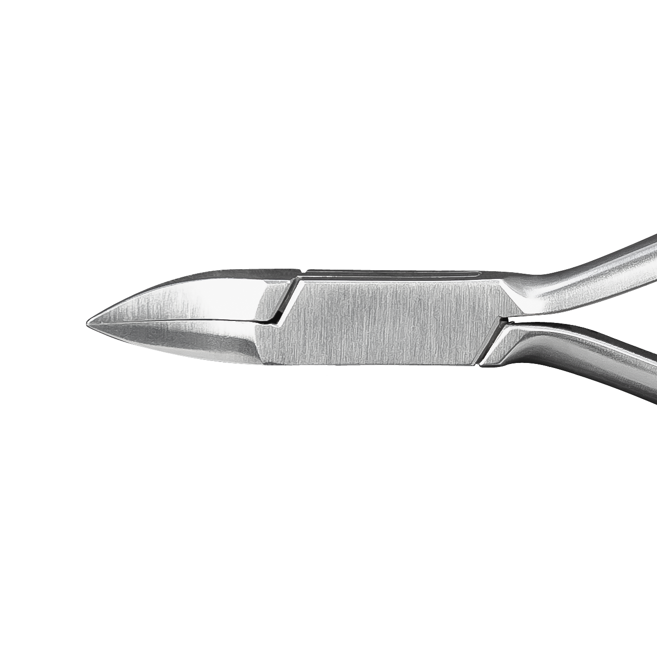 nagelzange_33406_2_2B6
