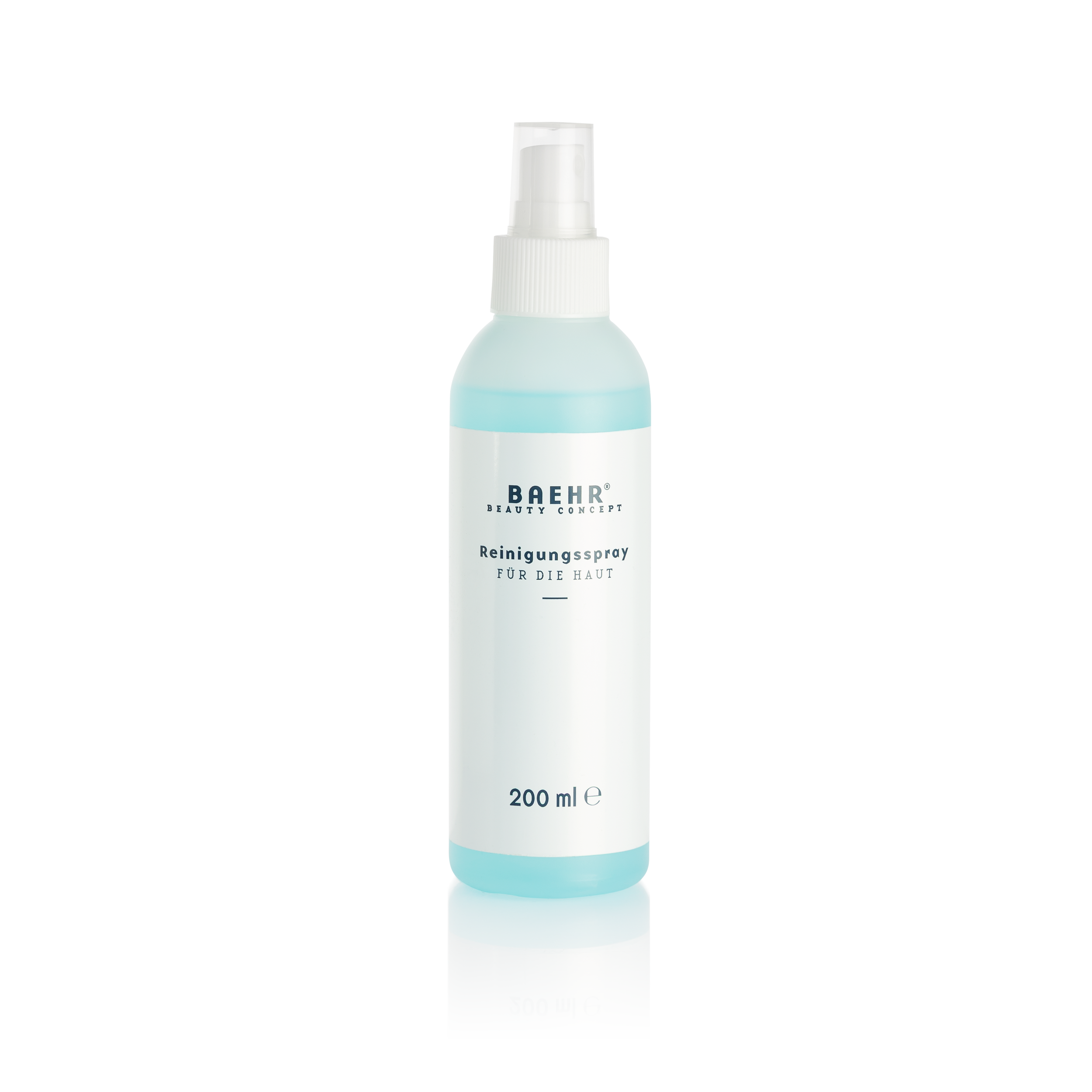 reinigungsspray-flasche_19002_2F5
