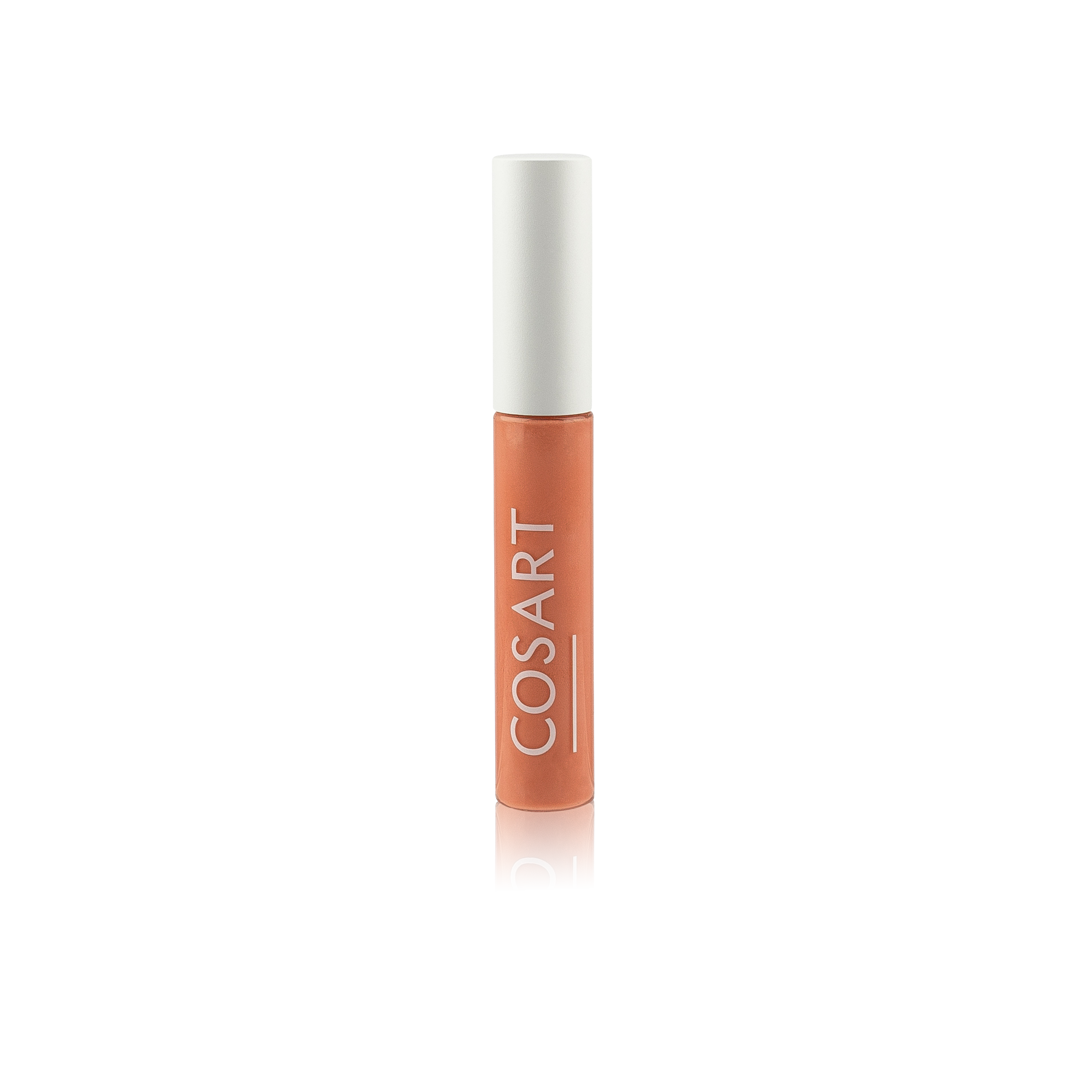lip-gloss-natur-84_27551
